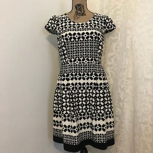 Enfocus Studio Dresses - Enfocus Studio tailored print flared dress Enfocus Studio Dresses - Enfocus Studio tailored print flared dress
